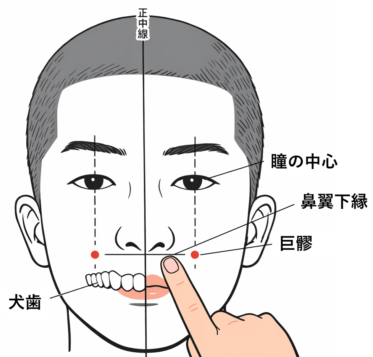 巨髎(ST3)の位置